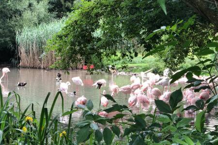 דירות זלצבורג Stadtnaehe Und Doch Mitten In Der Natur מראה חיצוני תמונה